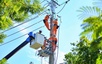 NSMO sẵn sàng phương án vận hành hệ thống điện an toàn khi phụ tải dự báo giảm dịp nghỉ lễ 2/9