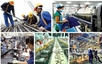 Triển khai thực hiện Kết luận số 62-KL/TW về nâng cao năng suất lao động quốc gia gắn với phát triển thị trường lao động