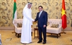 Viet Nam, UAE announce breakthrough in negotiations on CEPA
