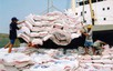 Gov't approves strategy on Viet Nam's rice export market development