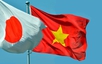 Gov't sets up working group to accelerate Viet Nam-Japan economic cooperation projects