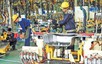PMI exceeds 50 points as new orders rebound