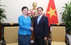 Cambodia and Thailand are close friends of Viet Nam: Deputy PM, FM Bui Thanh Son