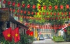 Viet Nam to launch environmental protection campaign in lead-up to 80th National Day anniversary