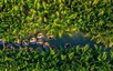 Forbes names Cam Thanh among world’s 50 most beautiful villages