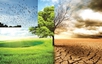 Viet Nam seeks up to US$92 billion for climate adaptation by 2030
