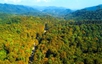 Viet Nam launches US$102 million initiative to protect forests, boost rural incomes