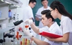 Gov’t rolls out action plan to attract and develop talent in key sectors
