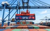 Viet Nam prepares for signing trade deal with European Free Trade Area