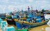 Shortcomings in IUU fishing combat must be fixed comprehensively