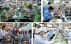 Viet Nam targets to develop 1,000 pioneering enterprises during 2026–2030