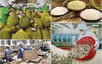 Agro-forestry-aquatic exports surge over 9% in five months