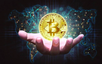 Administrative sanctions against violations in crypto assets