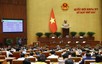 越南国会以赞成票87.25%通过身份证法
