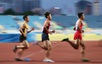 外籍越南人运动员想回国为祖国体育事业贡献力量