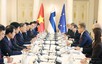 越共中央总书记苏林与芬兰总统举行会谈
