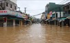 越南中部地区洪灾：约90个乡镇被淹，多条道路被阻
