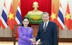 越共中央总书记苏林会见泰国总理佩通坦·钦那瓦