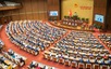 国会进行质询和答复质询活动