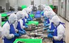 2025年前5月农林水产品出口金额增长15%