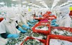 中国成为越南水产品最大出口市场