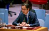 越南呼吁国际社会加强多边主义，以和平方式解决争端