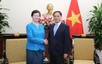 政府副总理兼外交部长裴青山会见柬埔寨驻越大使