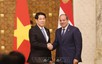 越南埃及关系提升为全面伙伴关系