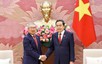 深化越南与韩国民间交流