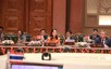 越南提出金砖国家和伙伴国的多项合作方向