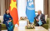 越南支持联合国在国际事务中发挥核心作用