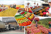 Bảo đảm tính minh bạch trong truy xuất nguồn gốc xúc tiến thương mại
