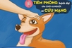 Các tổ chức quốc tế cam kết đồng hành loại bỏ các trường hợp tử vong do bệnh dại