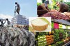 Ngành nông nghiệp phấn đấu đạt mục tiêu xuất khẩu 54 tỷ USD