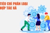 Infographics: Tiêu chí phân loại Hợp tác xã