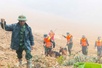 Tăng cường 'cảnh khuyển' tìm kiếm nạn nhân trong vụ sạt lở núi ở Đà Nẵng