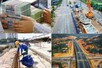 Điều chỉnh dự toán chi đầu tư phát triển và kế hoạch đầu tư công năm 2025