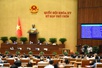 Chất vấn là cơ chế hiệu quả để cử tri, nhân dân thông tin trao đổi trực tiếp