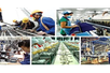 Kế hoạch hành động của Chính phủ về phát triển kinh tế tư nhân