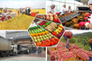 Chỉ đạo, điều hành của Chính phủ, Thủ tướng Chính phủ nổi bật tuần từ 3-9/5/2025