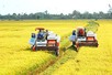 Ngành nông nghiệp và môi trường: Phân cấp, phân quyền để phát huy tối đa tiềm năng