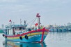 Đà Nẵng siết chặt quản lý 147 tàu cá chưa đủ điều kiện hoạt động