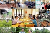 Nâng cao hiệu quả tín dụng chính sách xã hội