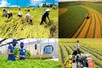 Công nghệ nội địa và bài toán tận dụng phụ phẩm nông nghiệp hiệu quả