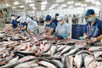 Các DN thủy sản cần quan tâm, khai thác tốt hơn thị trường nội địa
