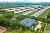 Vinamilk được vinh danh là thương hiệu sữa tiềm năng nhất thế giới