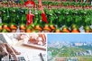 Chỉ đạo, điều hành của Chính phủ, Thủ tướng Chính phủ nổi bật tuần từ 16-22/8/2025