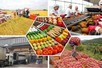 Đơn giản hóa thủ tục hành chính về nông nghiệp và môi trường