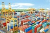 Đề xuất Biểu thuế nhập khẩu ưu đãi đặc biệt thực hiện Hiệp định CEPA