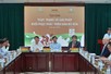 Ngành chăn nuôi bò sữa: Hướng tới chuỗi liên kết khép kín để hợp tác phát triển